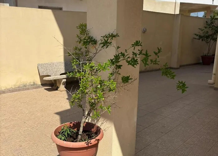 In Pensión Gallipoli